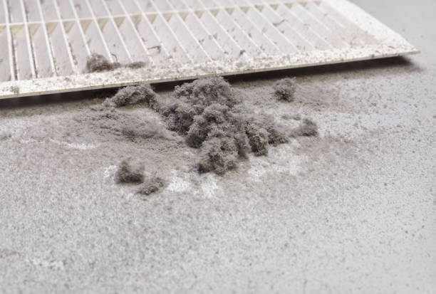 Best Residential Air Duct Cleaning  in Third Lake, IL