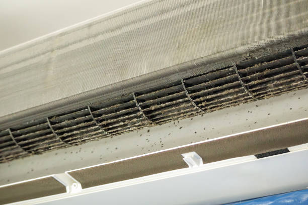 Best HVAC Air Duct Cleaning  in Third Lake, IL