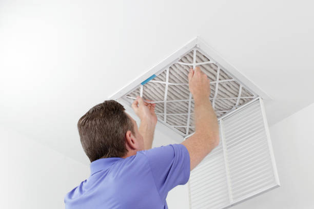 Best Affordable Duct Cleaning Services  in Third Lake, IL